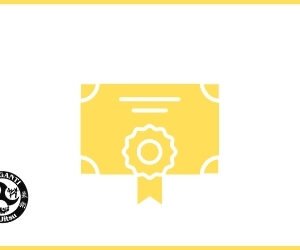 Certificado da faixa amarela