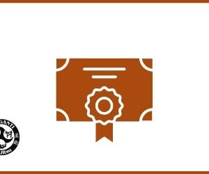 Certificado da faixa marrom + Curso segredo místico + Defesa pessoal
